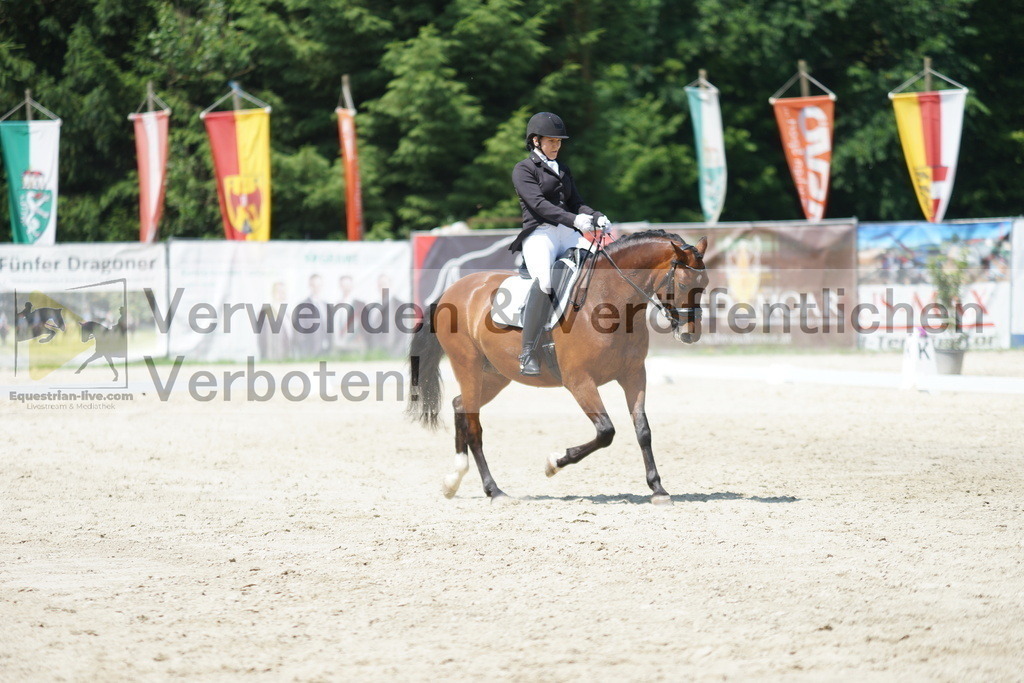 DSC01681 | equestrian-live-com