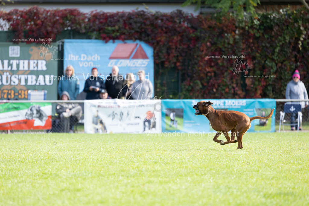 _16A6793 | Einzigartige Fotos von Hunden & Menschen –Actionfotos, Portraits, Vereinsaufnahmen & Paarshootings – authentisch, lebendig & mit Herz.
