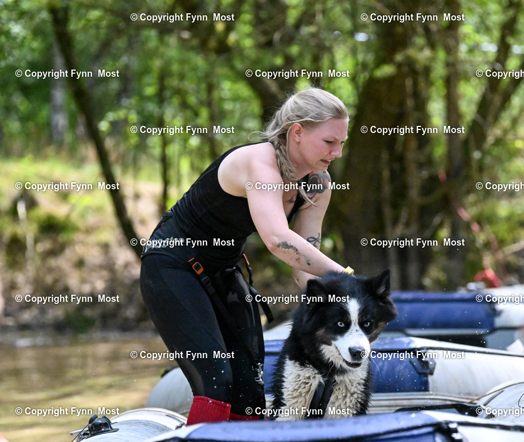 DSC_5665 | Hallo und herzlich Willkommen auf meiner Shop-Seite Fynn Most.

Ich wünsche Dir viel Spaß beim stöbern durch die Bilder, wenn Du Fragen hast oder Bilder vermisst, kannst du mir gerne eine Nachricht schreiben. - Realisiert mit Pictrs.com