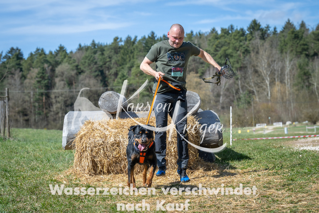 1238_ZZ99377 | kk-dogfotos