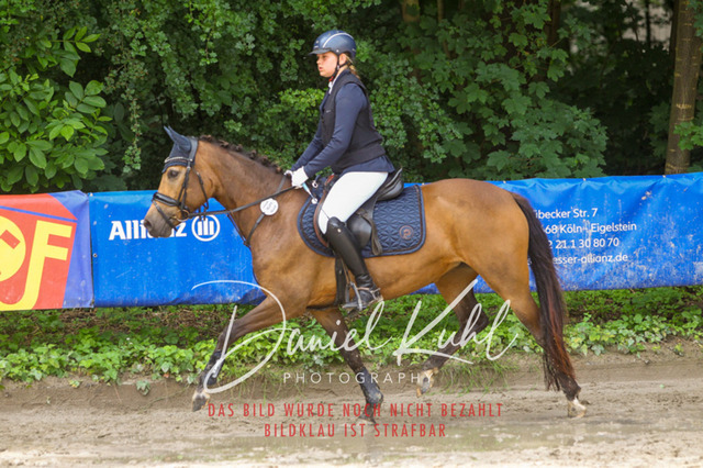 DKP44700 | Turniersportfotografie; Pferdefotografie; Dressurfotografie