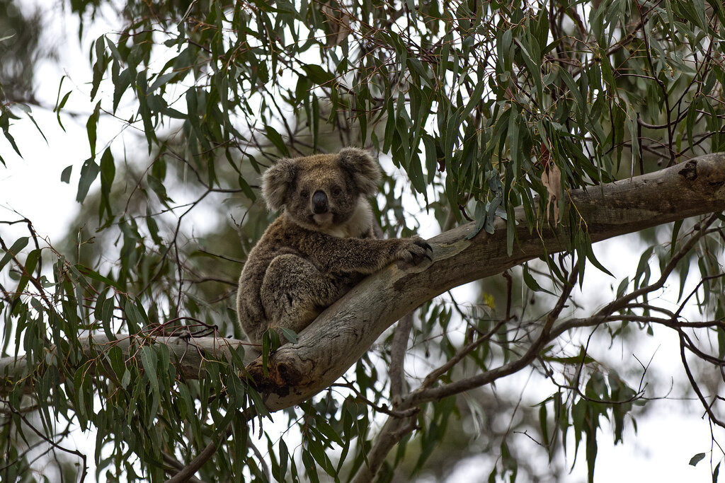 1H5A6117a | ansichtssache