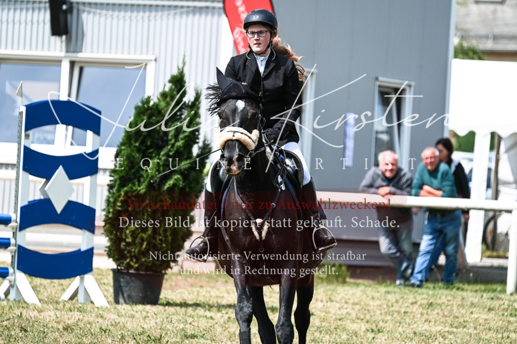 DSC_9136 | Pferde- und Turnierfotografie in Westsachsen. Pferdeportraits, Auftragszeichnungen und intuitive Kunst.