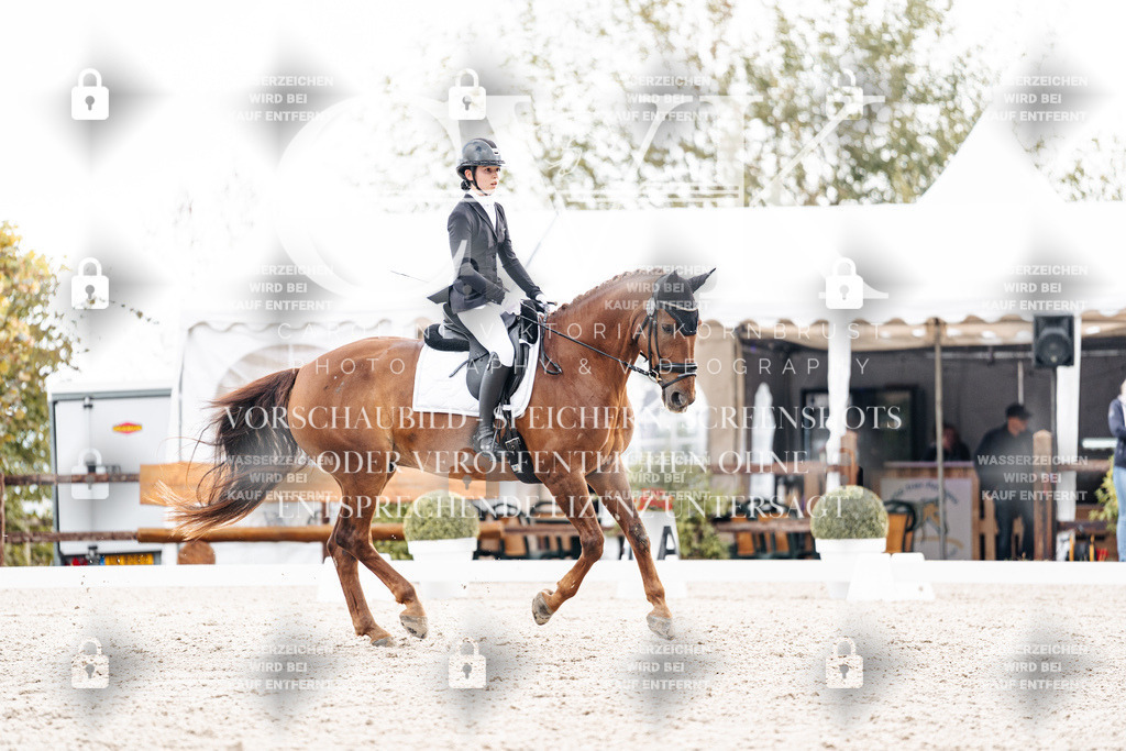 CK900777 | Turnierfotografie Pferdefotografie Trier Rheinland-Pfalz Pferdesport Reitsport Tierfotografie Sportfotografie Pferdevideo Pferdevideografie Equestrianvideography equestrianphotography  - Realisiert mit Pictrs.com