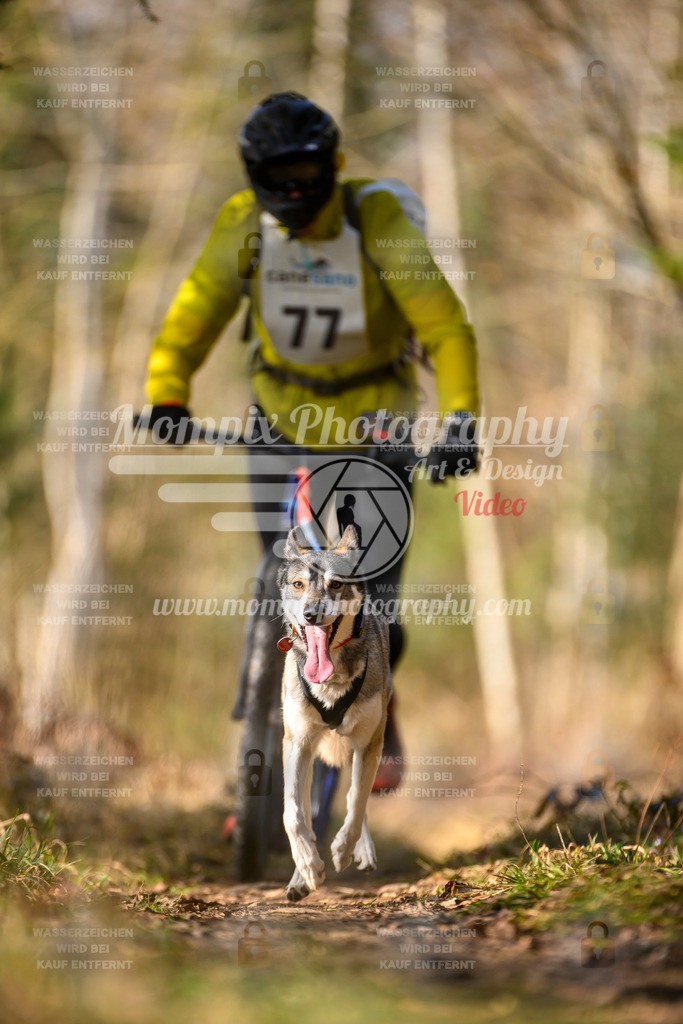 MompixPhotography_6ReiatRennen2026_SO_Scooter-39 | PayLife