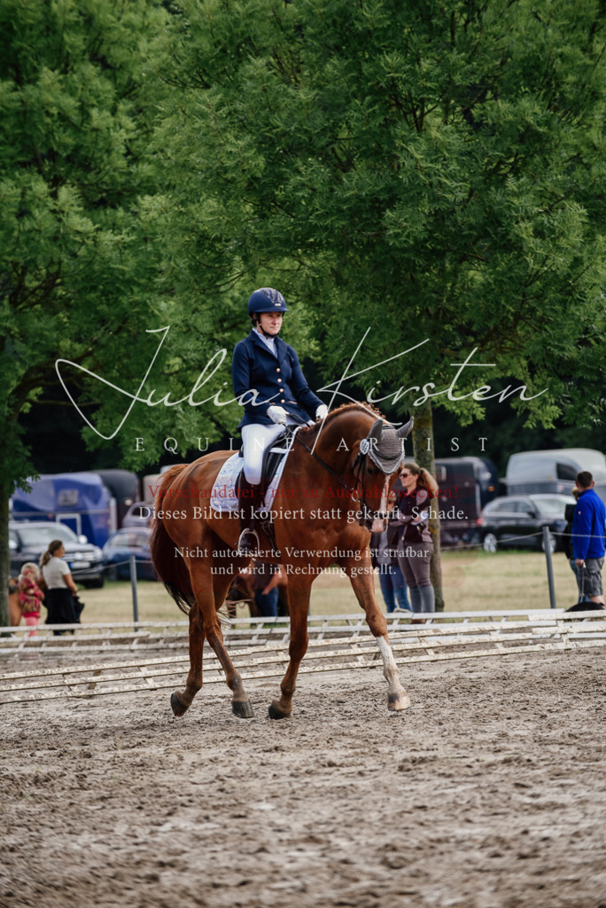 DSC_9884 | Pferde- und Turnierfotografie in Westsachsen. Pferdeportraits, Auftragszeichnungen und intuitive Kunst.