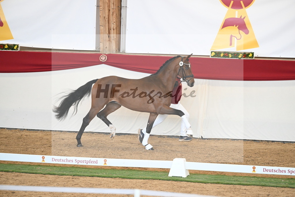 Kat.-Nr. 88 v. Vitalis_Schlamminger_2250671 | hf-fotografie - Realisiert mit Pictrs.com