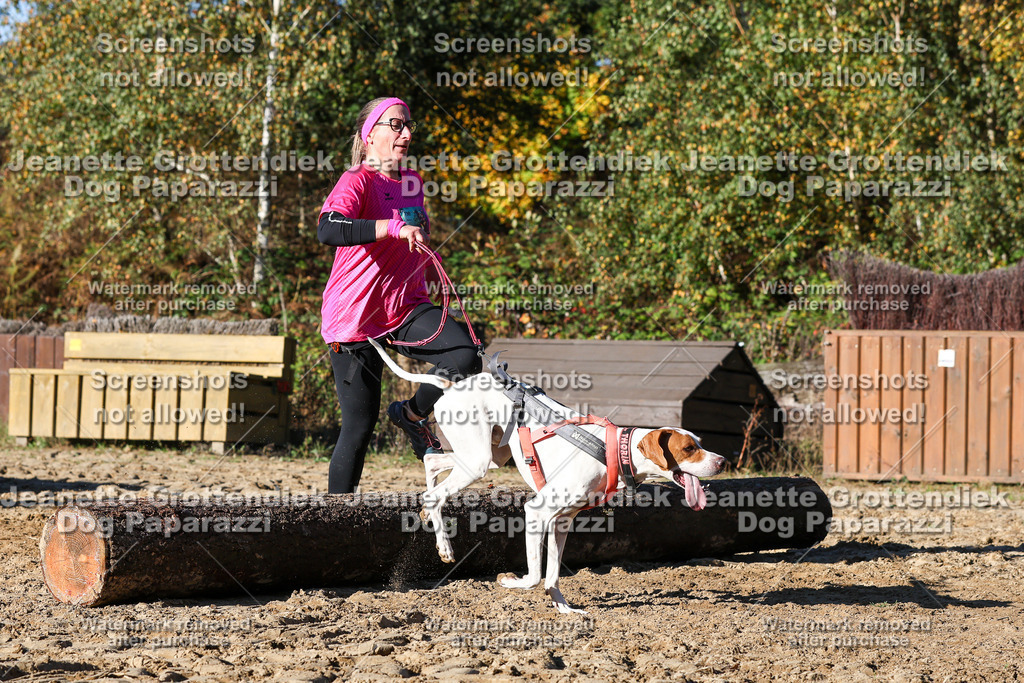 Dog Paparazzi - Strongdog 10-25-1946 | Dog Paparazzi Jeanette Grottendiek Fotografie & Videografie - Realisiert mit Pictrs.com