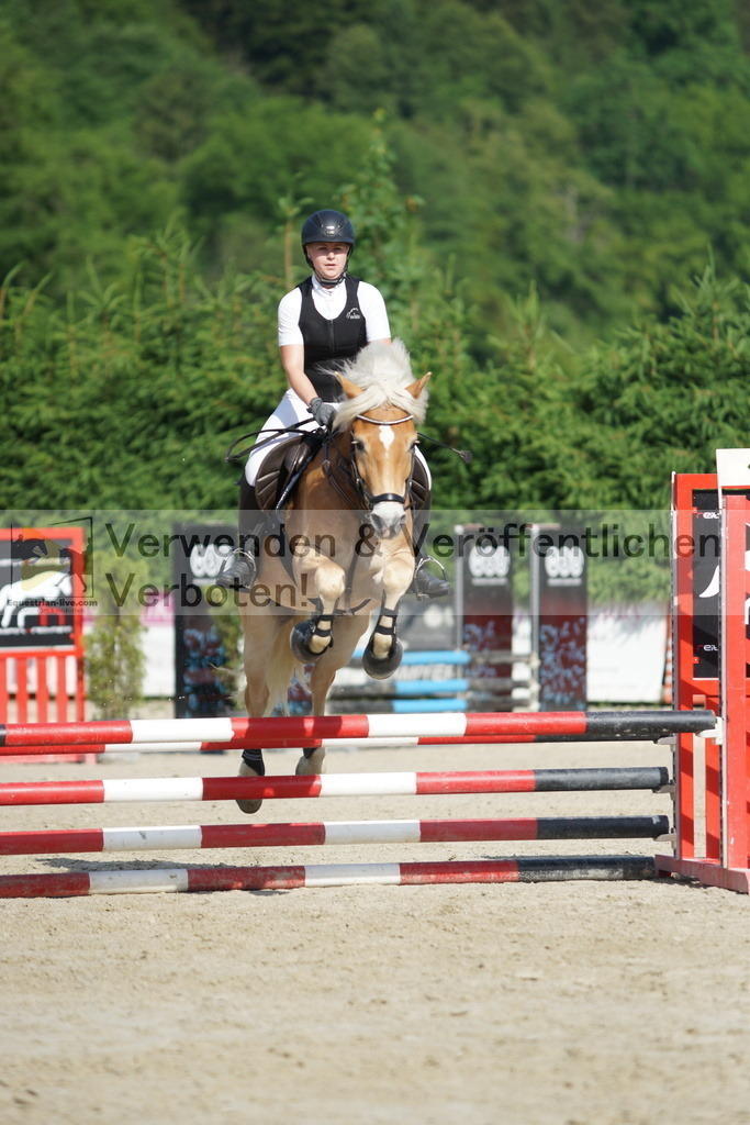 DSC09996 | equestrian-live-com