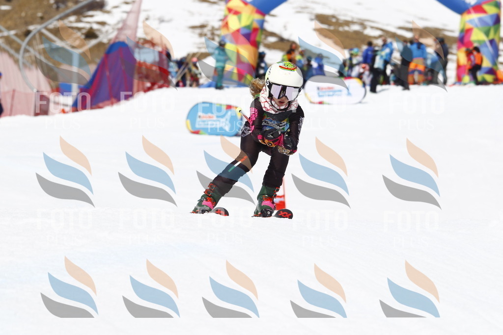 _U3G8167 | holidayphoto