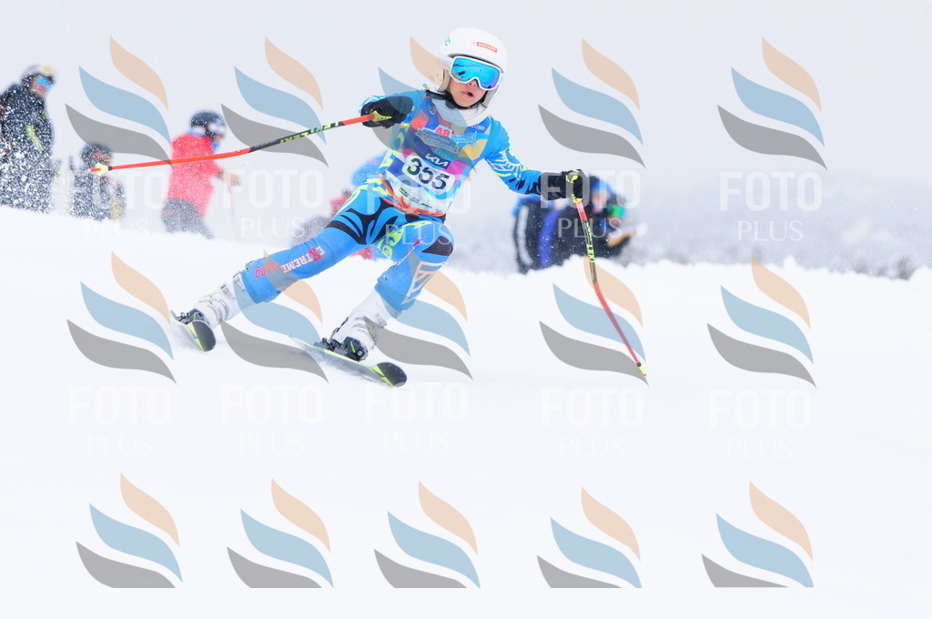 C3794 | holidayphoto