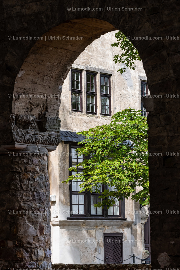 10049-12509 - Schloß und Stiftskirche Leitzkau | Stockfoto und Bilderpool mit Bildmaterial aus Deutschland, dem Harz, Halberstadt, Quedlinburg, Wernigerode und weltweit. Qualitativ hochwertige und professionelle Fotos anschauen und kaufen. - Realisiert mit Pictrs.com
