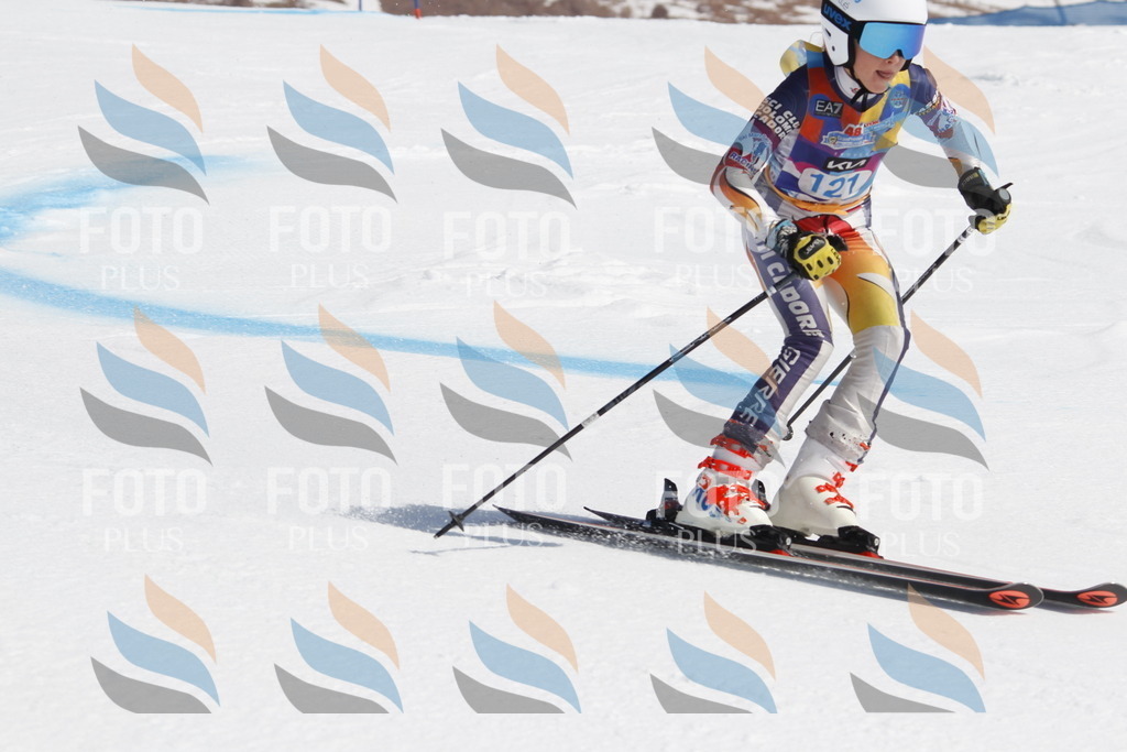 _U3G0721 | holidayphoto