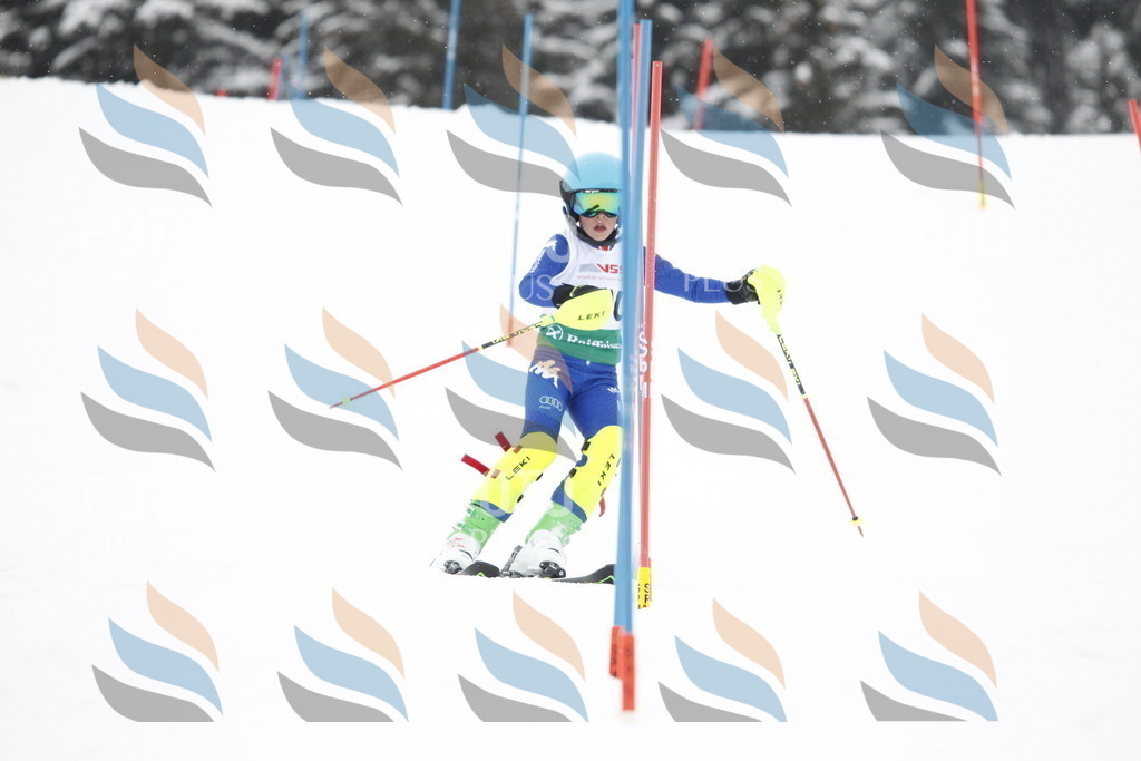 A2000 | holidayphoto