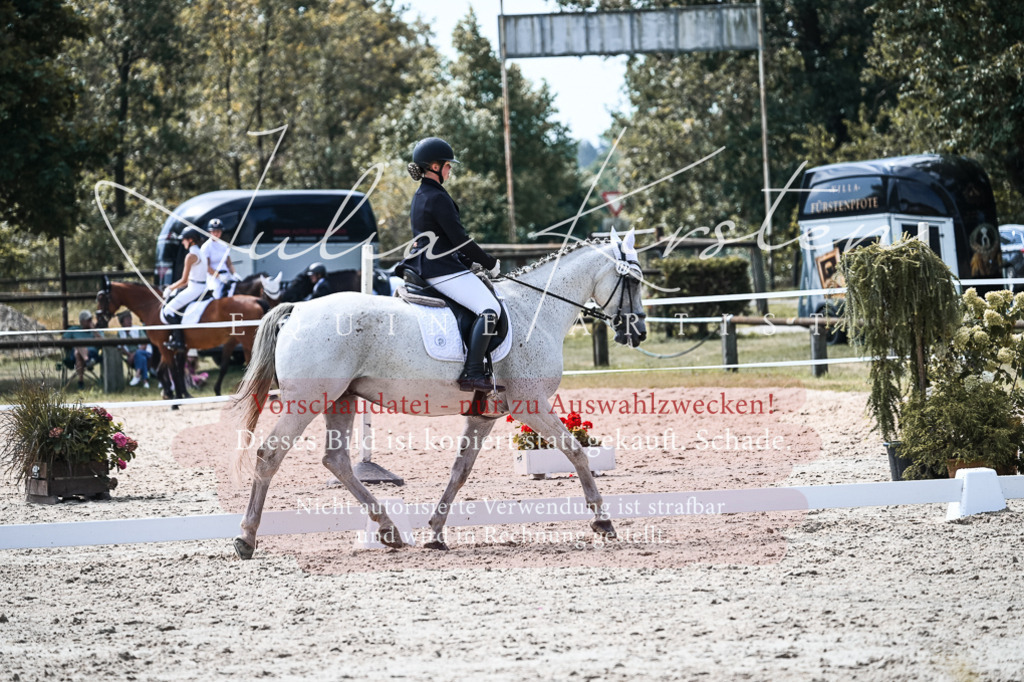 DSC_5320 | Pferde- und Turnierfotografie in Westsachsen. Pferdeportraits, Auftragszeichnungen und intuitive Kunst.