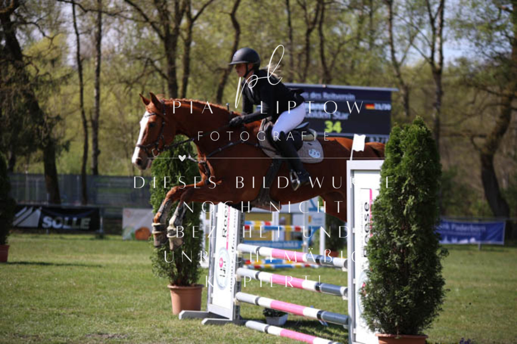 IMGT5605 | pl-fotografie