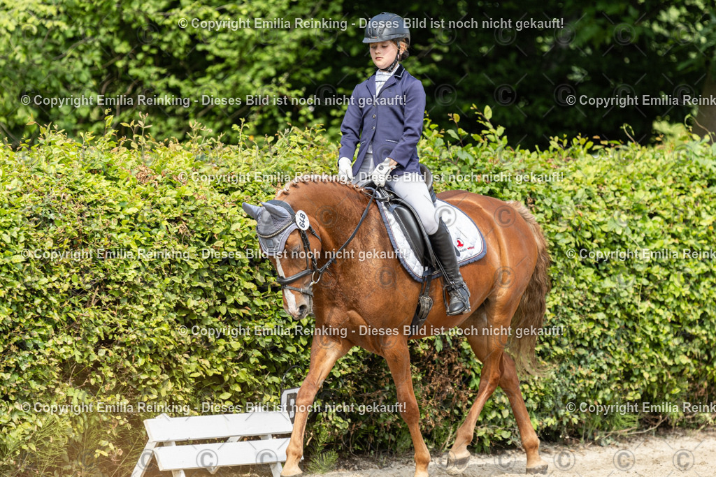 CL5A1242 | Emilia Reinking Fotografie - Realisiert mit Pictrs.com