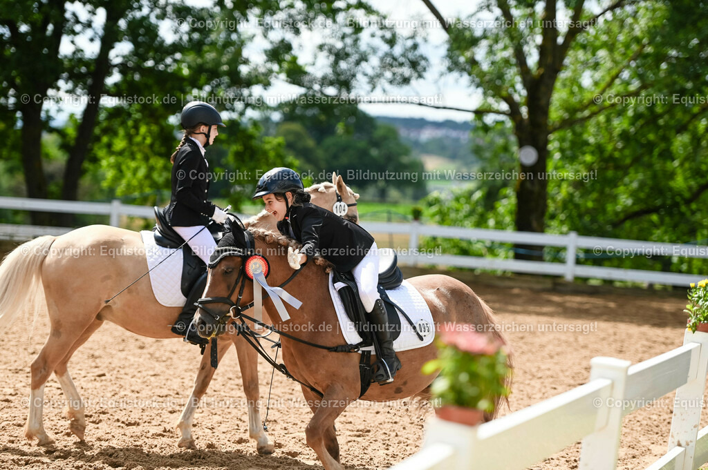20230716_10-3_Reiter-WB Schritt - Trab - Galopp_0272 | equistock