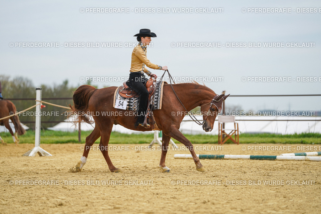 DSC03260 | Pferdegrafie