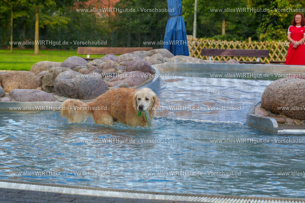 Hundeschwimmen_Grefrath_2026-allesWIRTHgut_Tierfotografie-09_40-FAY07731 | Professionelle Tierfotografie in Mönchengladbach von Daniel Wirth (allesWIRTHgut). Liebevolle & natürliche Bilder von Hunden & Katzen für unvergessliche Erinnerungen.