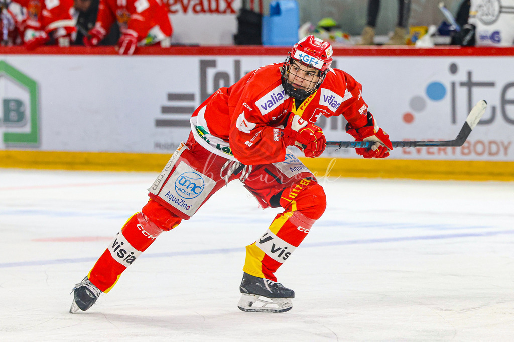 701A3248 | Sportbilder, Sportfotograf, Hochzeits- und Eventfotografin, Flugshows, Portraits und Tiershooting, Aviation, Downhill, Nationalleague, Swissleague, International