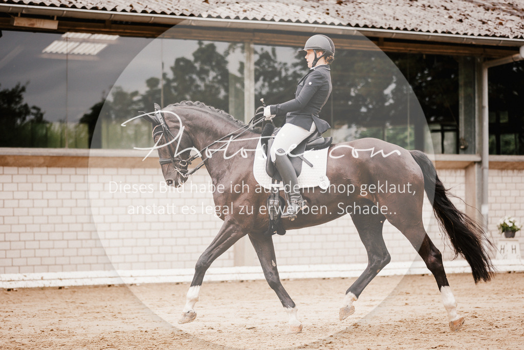 3I6A7717 | Stimmungsvolle Portraits und Reitsportfotografie im Ruhrgebiet und im Münsterland.

Pferdefotografie, Hundefotografie, Tierfotografie, Reportagen, Portraits von Tier und Mensch, Turnierfotografie in Bochum, Recklinghausen, Marl, Haltern am See, Dülmen.. - Realisiert mit Pictrs.com