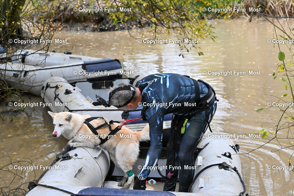 DSC_6800 | Hallo und herzlich Willkommen auf meiner Shop-Seite Fynn Most.

Ich wünsche Dir viel Spaß beim stöbern durch die Bilder, wenn Du Fragen hast oder Bilder vermisst, kannst du mir gerne eine Nachricht schreiben. - Realisiert mit Pictrs.com