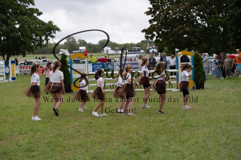 A7V05750 | Pferdefotograf