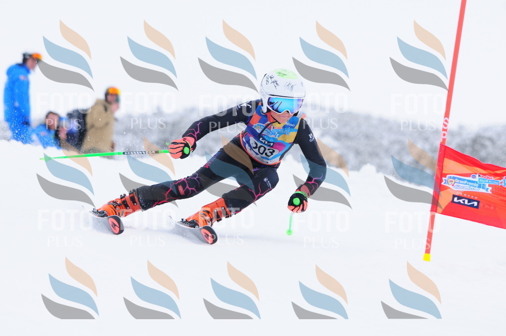 C3214 | holidayphoto