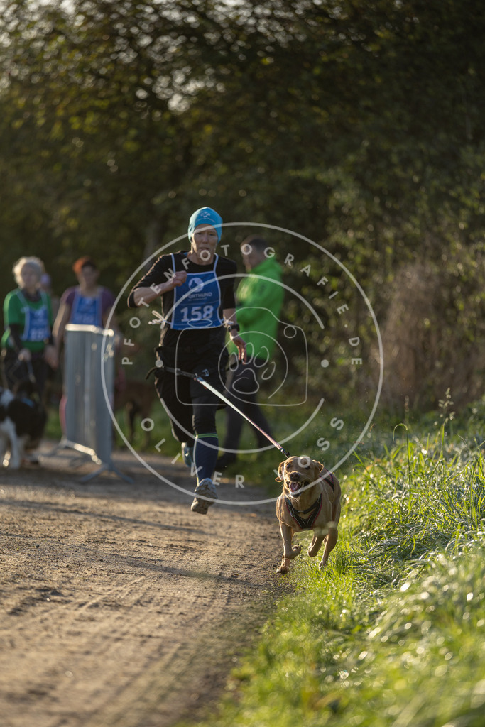 Pfotenfotografie.de_DV3A2555 | Hundefotografie, Tierfotograf, Pfotenfotografie, Fotoshooting Hund, Hunde Portrait, Hundesport, Hundeportraits, Heideshooting, Hunde, Sportfotograf, Hundefotograf, Turnierhundsport, THS, canicross - Realisiert mit Pictrs.com