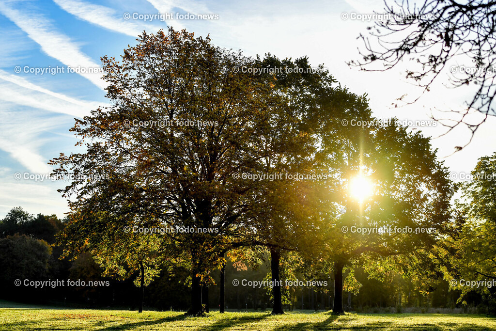 Herbst_ 09.10.2022-4 | 09.10.2022, Linz, AUT, Herbststimmung im Wasserwald Linz, im Bild Herbst, Baueme, Sonne, Jahreszeit