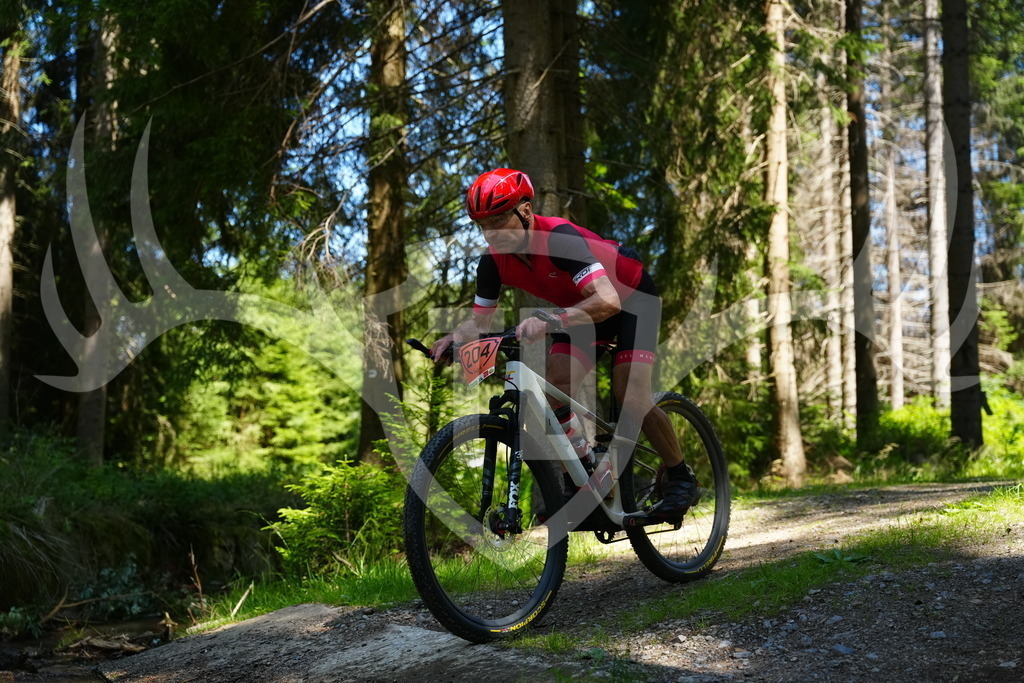 FC101726 | Fotogalerie der Treibjagd im Dunkelwald - Dein MTB Etappenrennen im Erzgebirge - Realisiert mit Pictrs.com