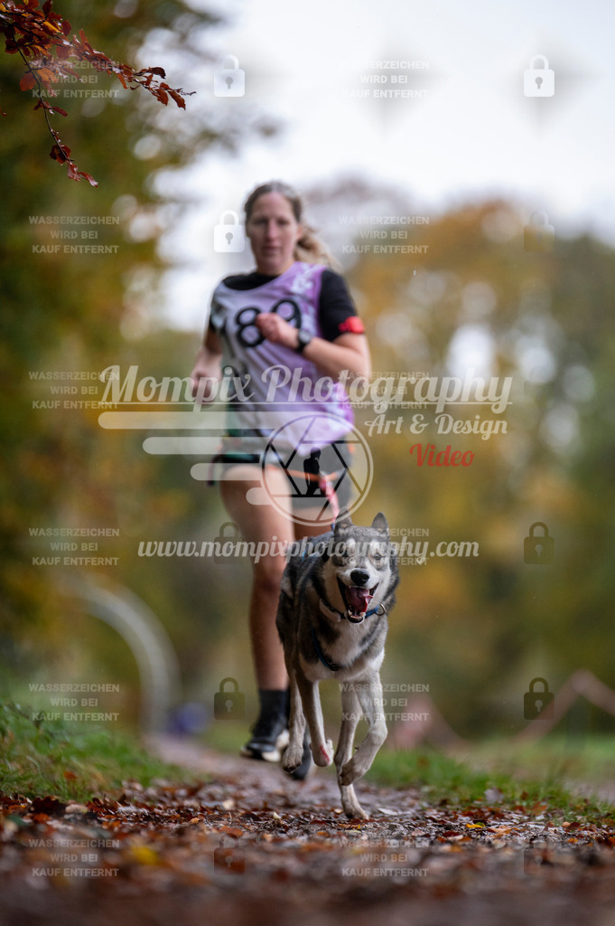 DBT_DAKM_SA_4_11_2023_Canicross-116 | PayLife