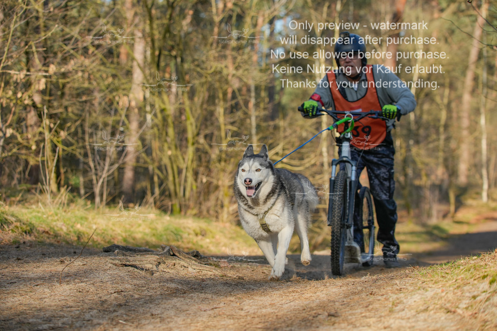 Sa_Scooter-176 | stephaniefillaphotographie - Realisiert mit Pictrs.com