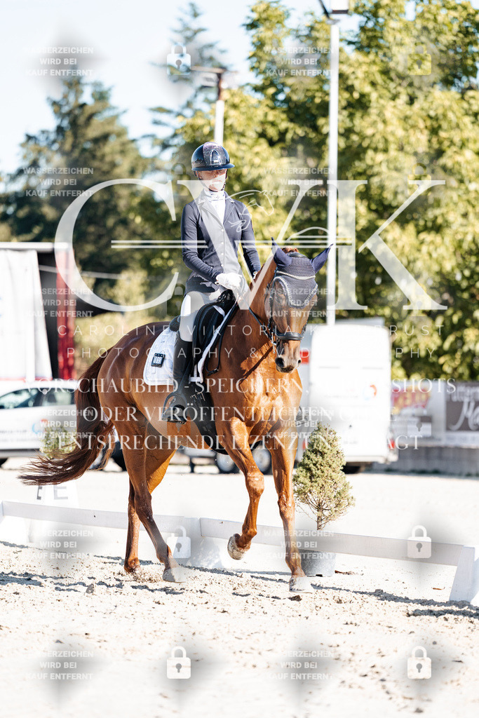 CK907376 | Turnierfotografie Pferdefotografie Trier Rheinland-Pfalz Pferdesport Reitsport Tierfotografie Sportfotografie Pferdevideo Pferdevideografie Equestrianvideography equestrianphotography  - Realisiert mit Pictrs.com