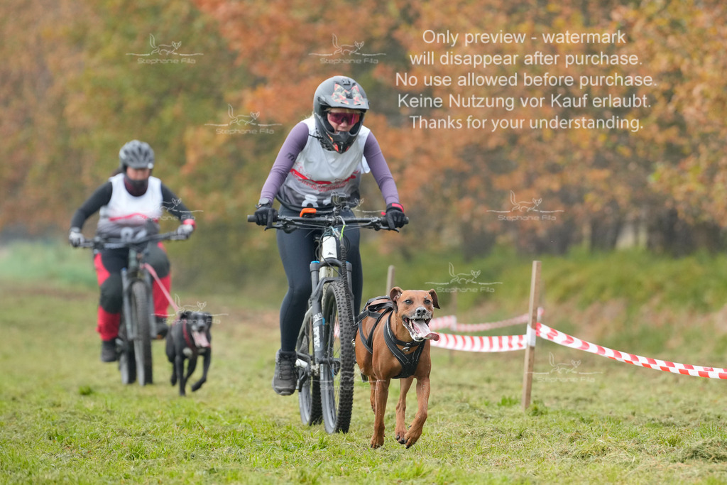 Visbeck_Sa_Bike-284 | stephaniefillaphotographie - Realisiert mit Pictrs.com