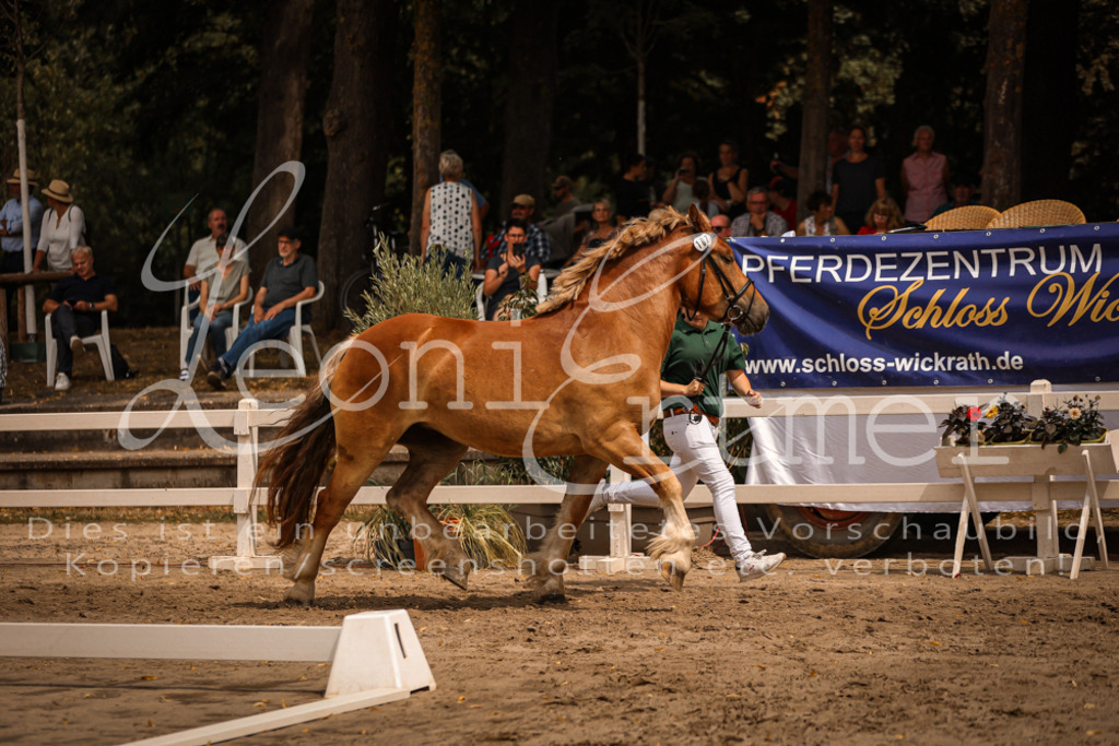 3.Sa00010 | Leoni Ertmer Photography - Realisiert mit Pictrs.com