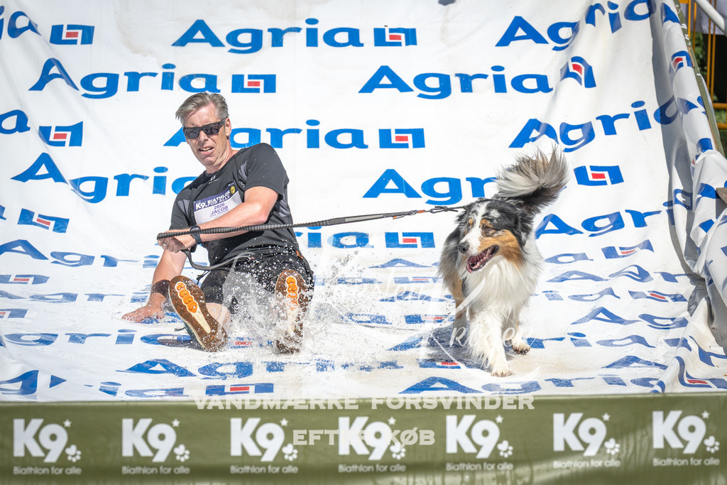 1415_ZZ93119 | kk-dogfotos