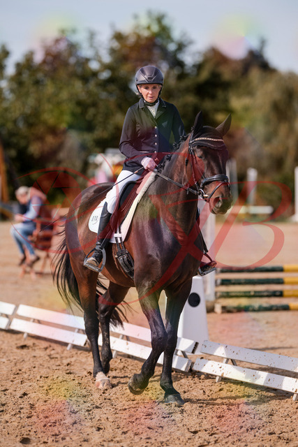 2026_10_03_Siefer-Hof_133343_Z81_92611402 | Professionelle Reitsport-, Turnier- und Eventfotografie von Robert Broda. Galerien mit ausgewählten und bearbeiteten Bildern direkt online ansehen und bestellen.
