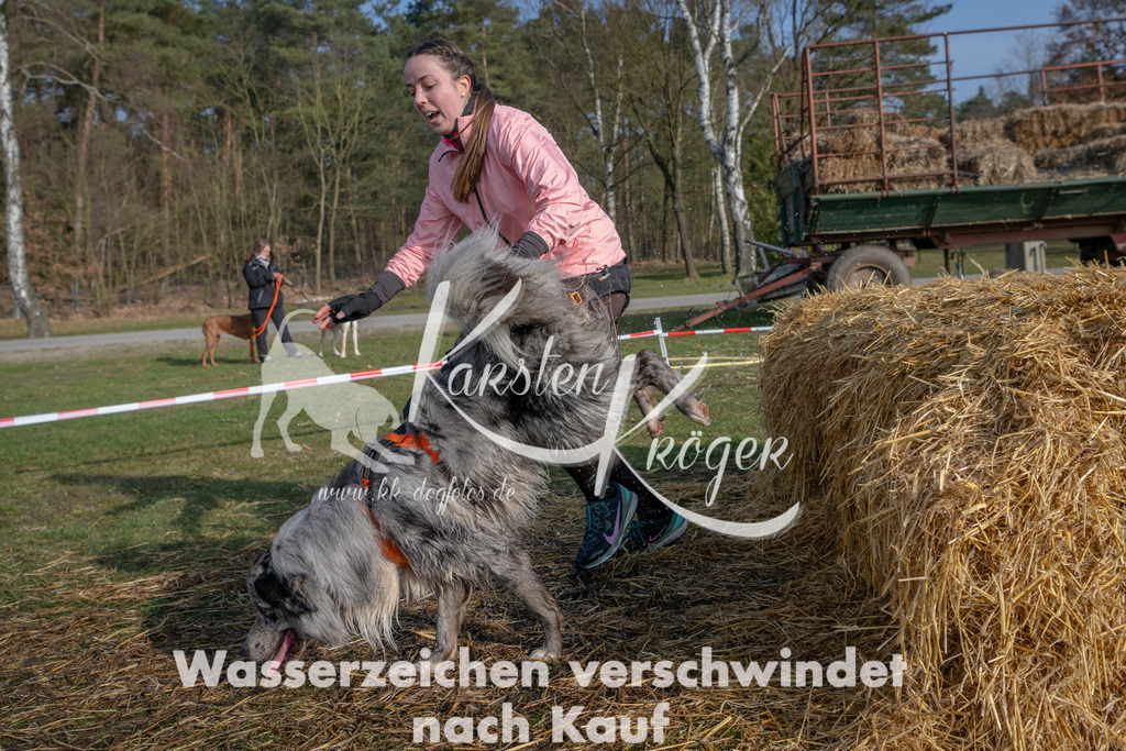 _ZZ94442 | kk-dogfotos