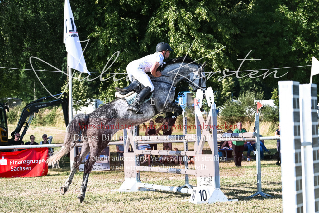 DSC_2660 | Pferde- und Turnierfotografie in Westsachsen. Pferdeportraits, Auftragszeichnungen und intuitive Kunst.