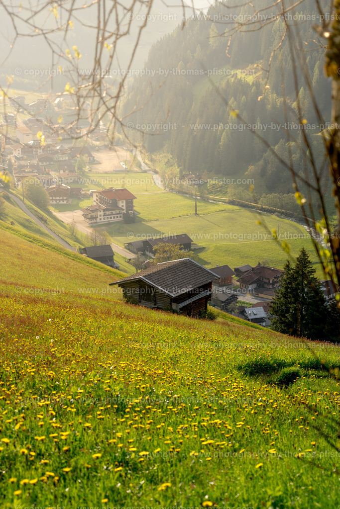 Tux Frühling copyright  Thomas Pfister-1 | PHOTOGRAPHY BY THOMAS PFISTER
