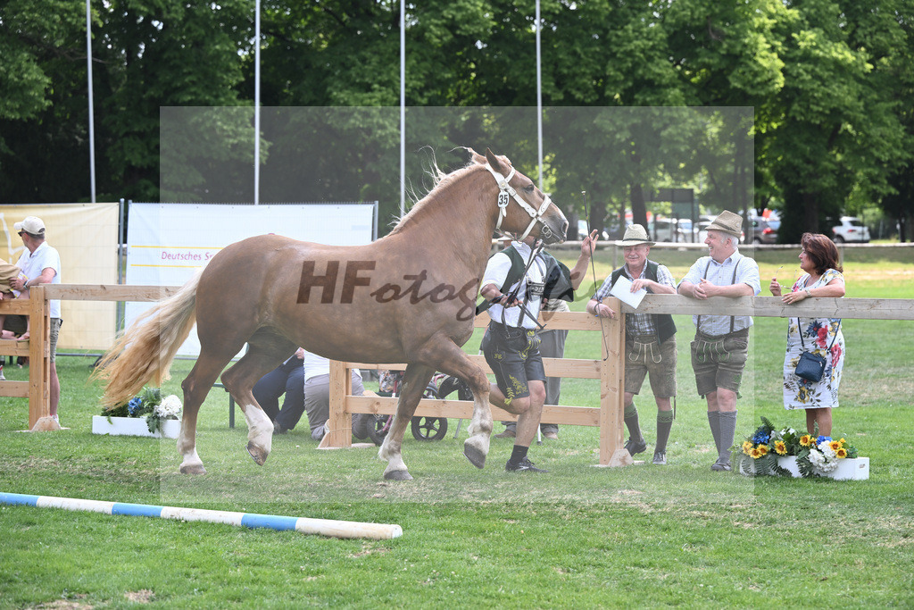 Kat-Nr. 35 Helena_Ehlich_20230551 | hf-fotografie - Realisiert mit Pictrs.com