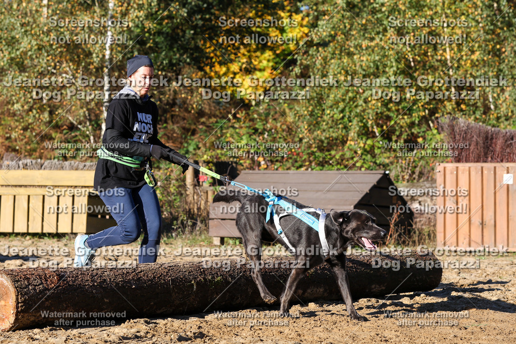 Dog Paparazzi - Strongdog 10-25-1568 | Dog Paparazzi Jeanette Grottendiek Fotografie & Videografie - Realisiert mit Pictrs.com