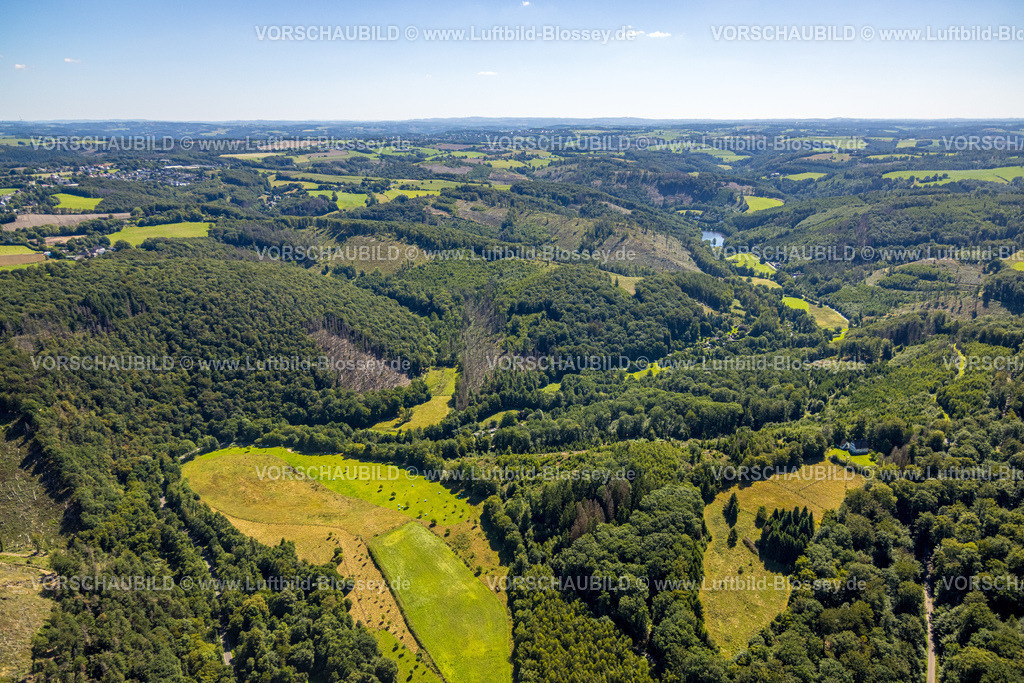 Ennepetal230801043 | Luftbild, Waldgebiet mit Waldschäden, an der Landesstraße L699 Grüntal, NSG Tal der  Ennepe und Teich, Rüggeberg, Ennepetal, Ruhrgebiet, Nordrhein-Westfalen, Deutschland