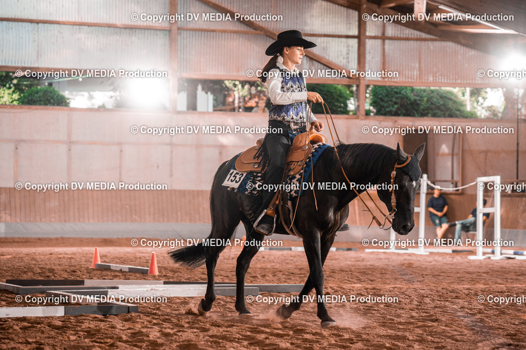 NE300199 | dv-media-shop - Realisiert mit Pictrs.com