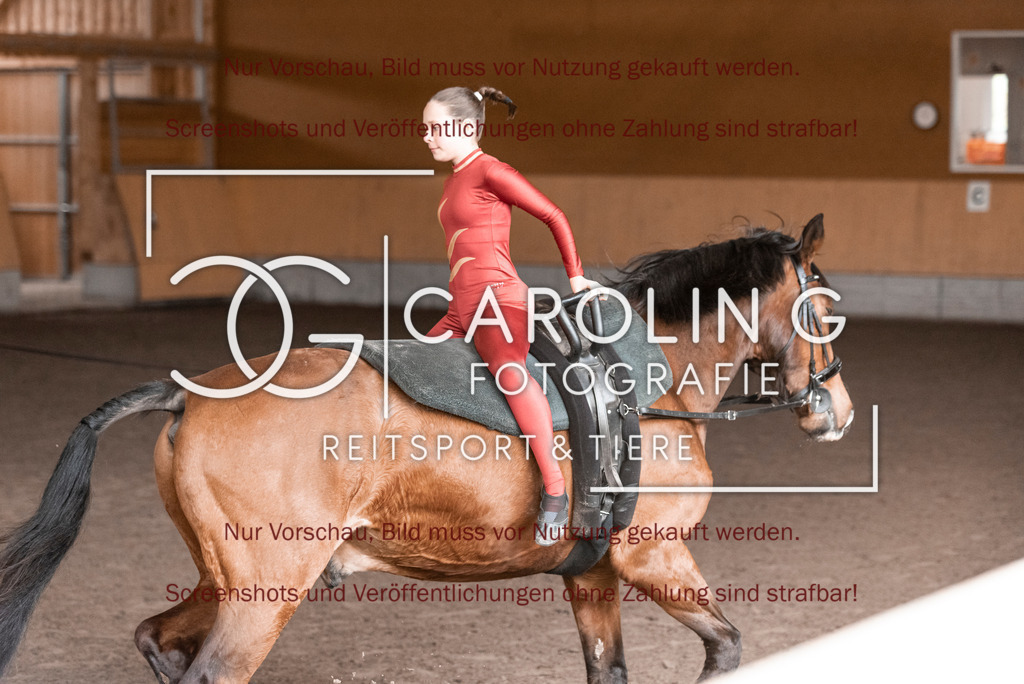 DSC_2036 | Turnierfotografin Carolin Gieschke,Reitsport Turnierfotografie Carolin G Fotografie | Turnierfotos aus Kirchheim/Teck, Esslingen, Stuttgart und dem Bodenseekreis