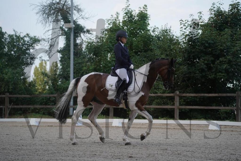 tbhsamstag (19) | d.tail Visions - Shop - Realisiert mit Pictrs.com