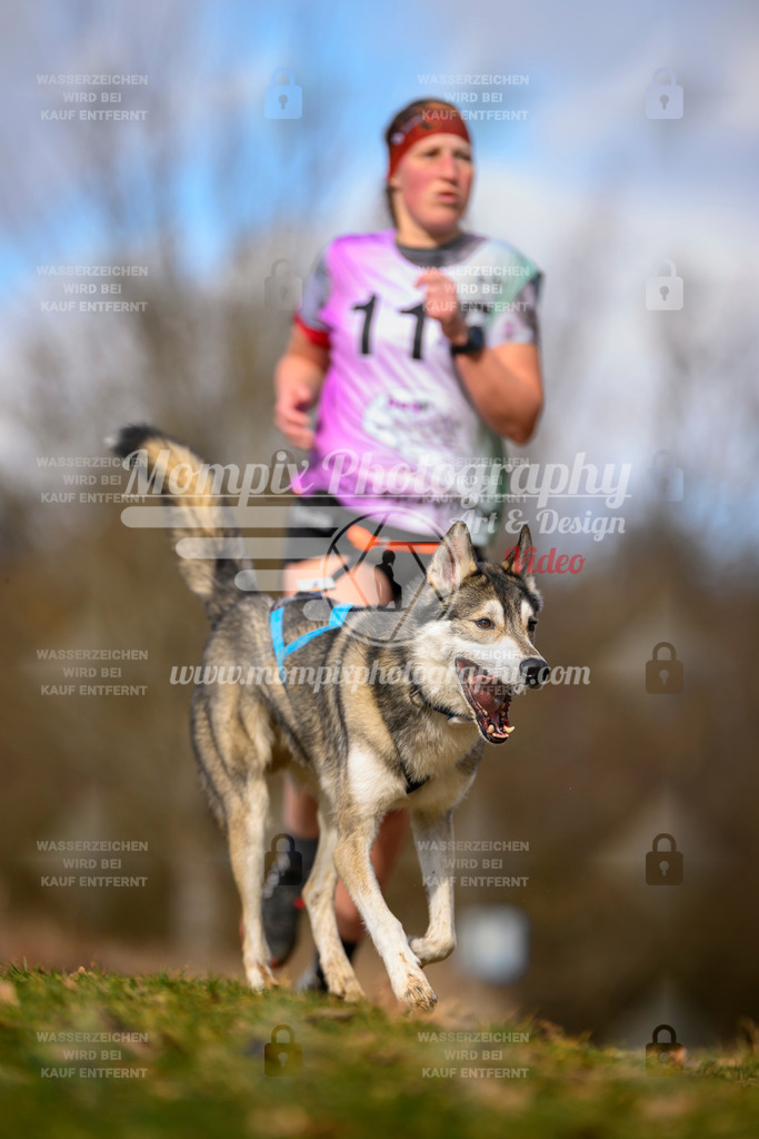MompixPhotography_10Schwabentrail2026_SO_Canicross-43 | PayLife