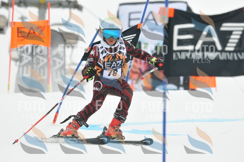 DSC_7884 | holidayphoto